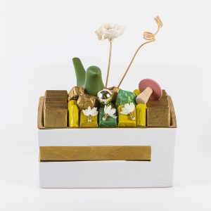 Lotus 1